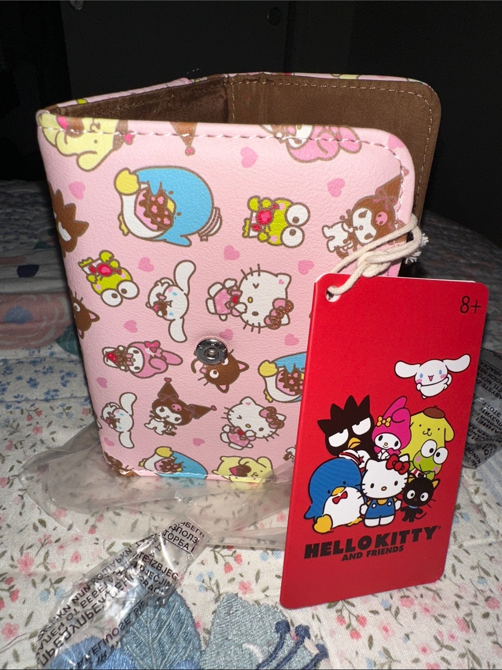 Hello Kitty Pink Kids Coin Purse with Character Print